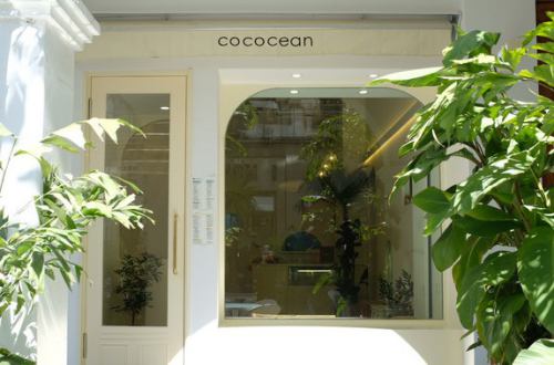 cococean网红椰子冻